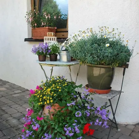 Alloggio in famiglia Cozy